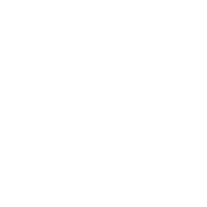 Allianz300