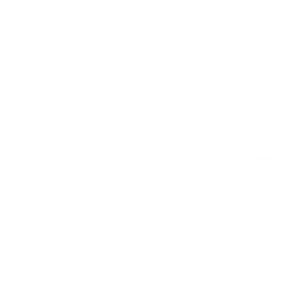Bupa300