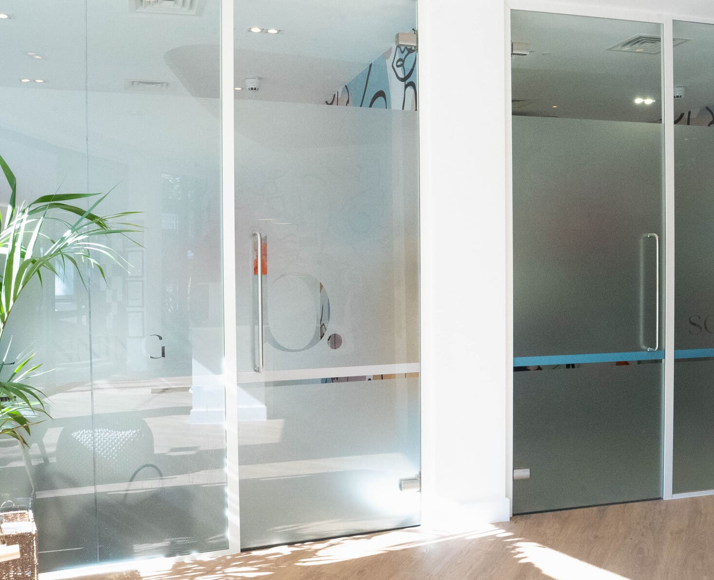 Bright dental clinic hallway with frosted glass doors and indoor plant.